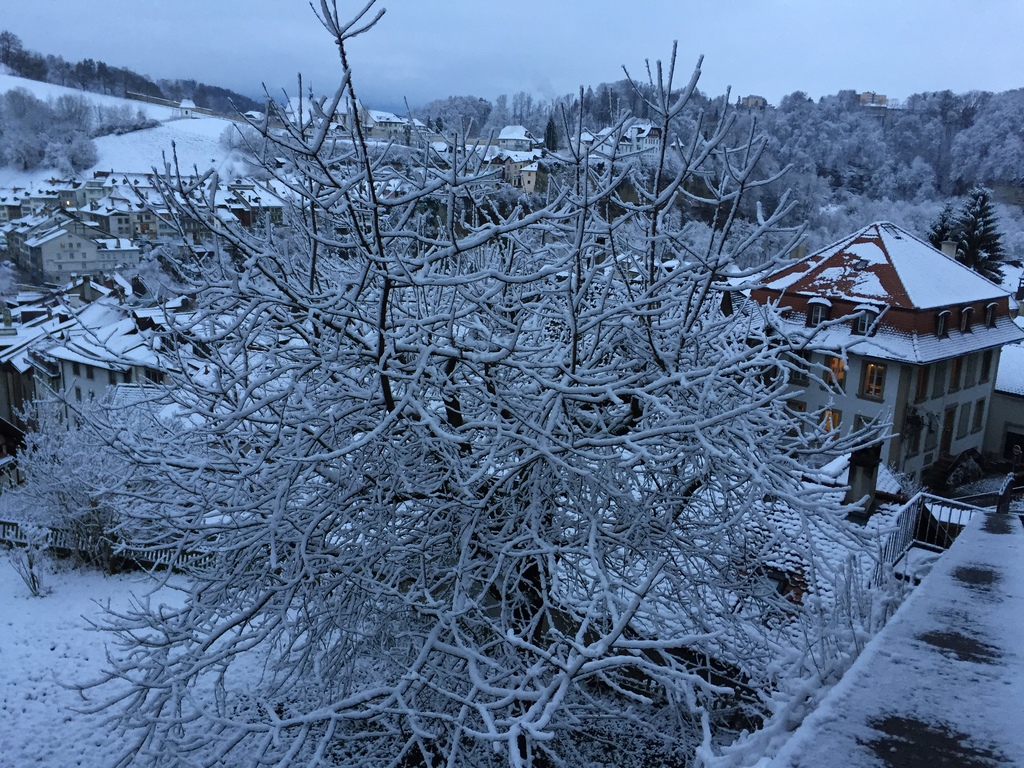 house on a winter morning