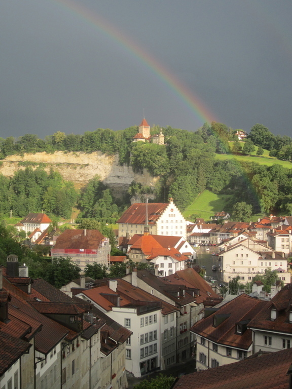 view from kitchen window