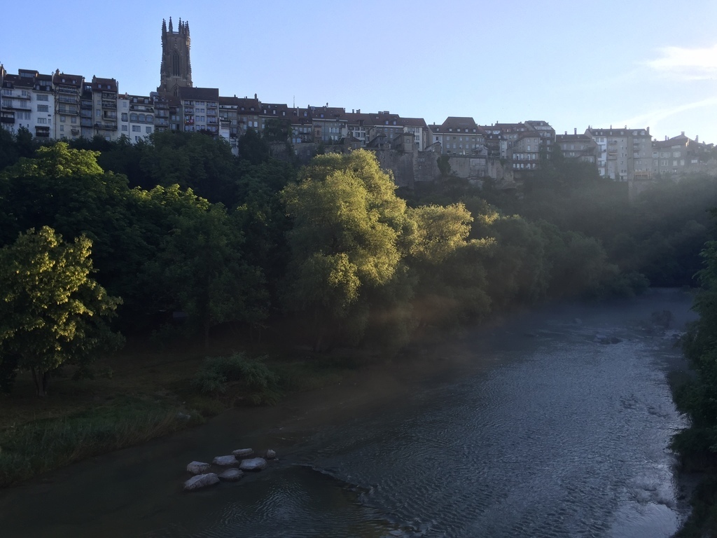Morning sun at the river "Sarine" (1 Minute walk from home)