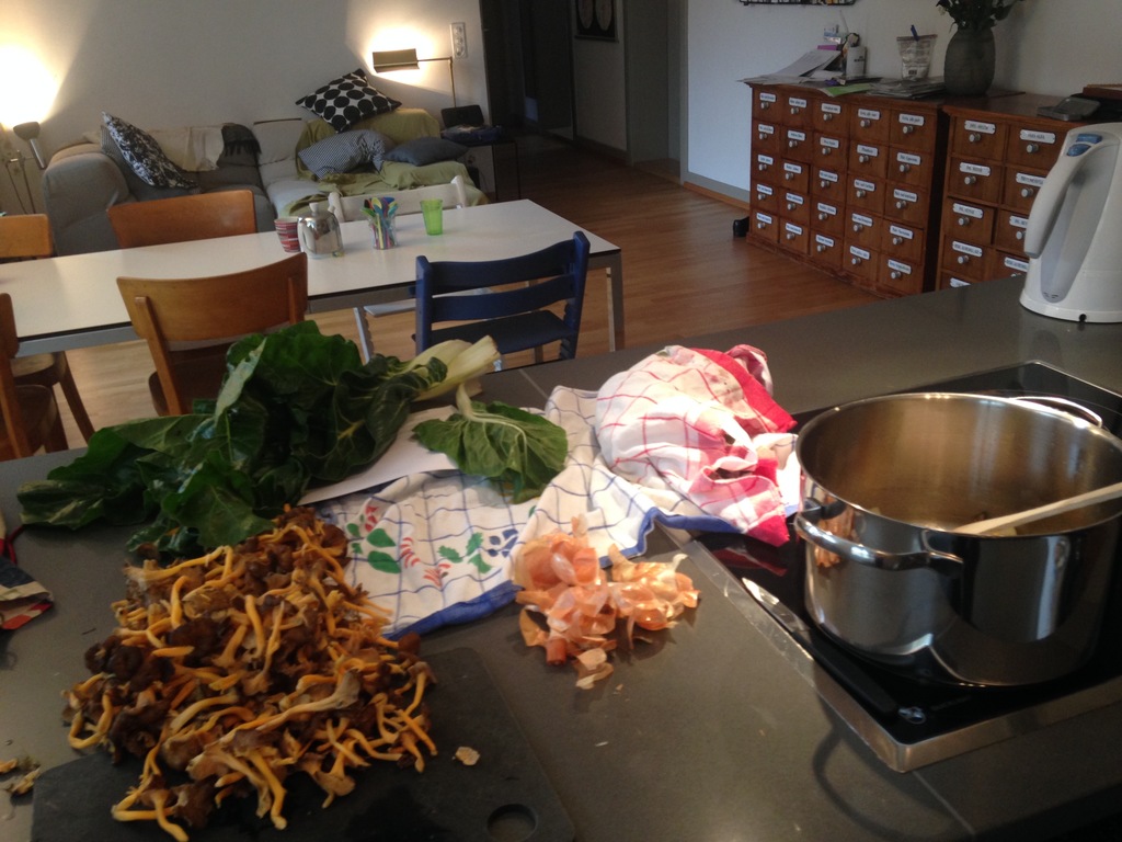 (1) Blick von der Küche; living room, seen from the kitchen