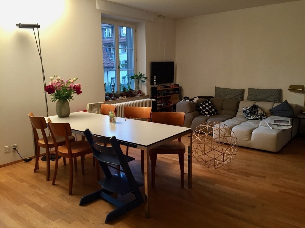 (1) Wohnzimmer/Küche (living room, kitchen)