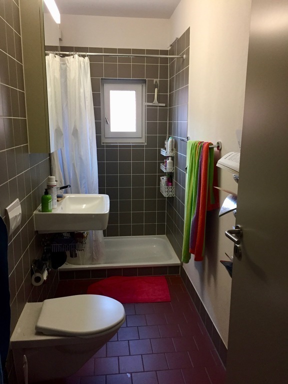kleines Bad/Dusche (small bathroom)