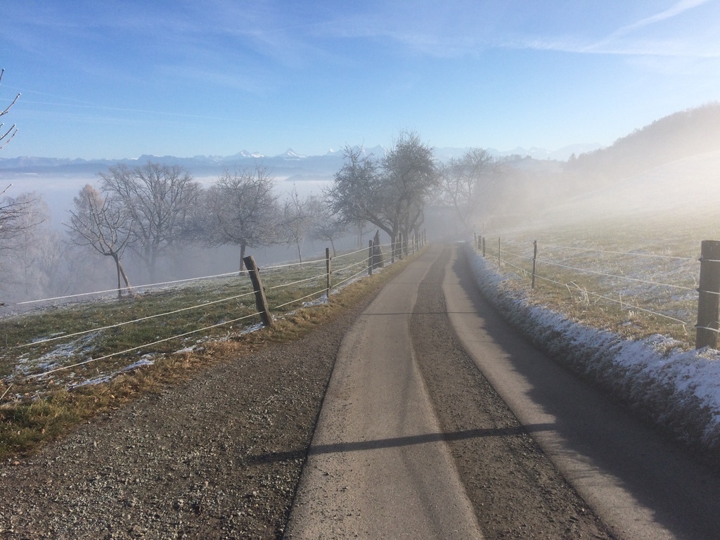 hiking trail to the Gurten (near our house)