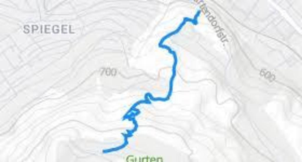 Mountainbike downhill trail Gurten [upwards by cable car :) ]