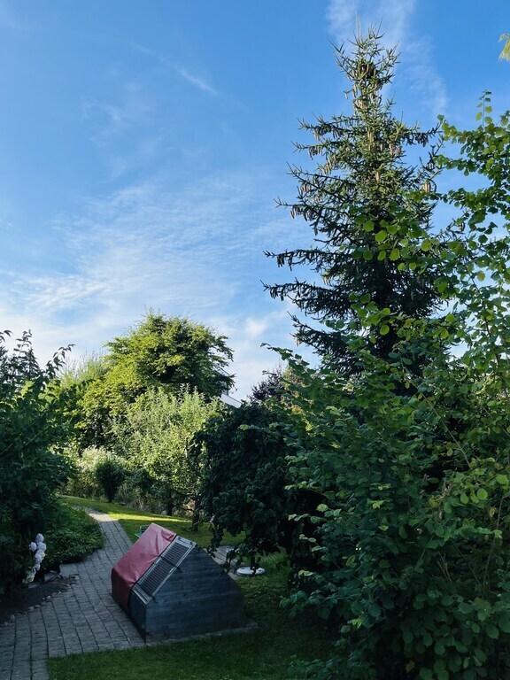 House (Side - Garden)