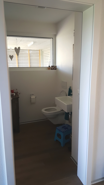 Small bathroom with toilet on ground floot