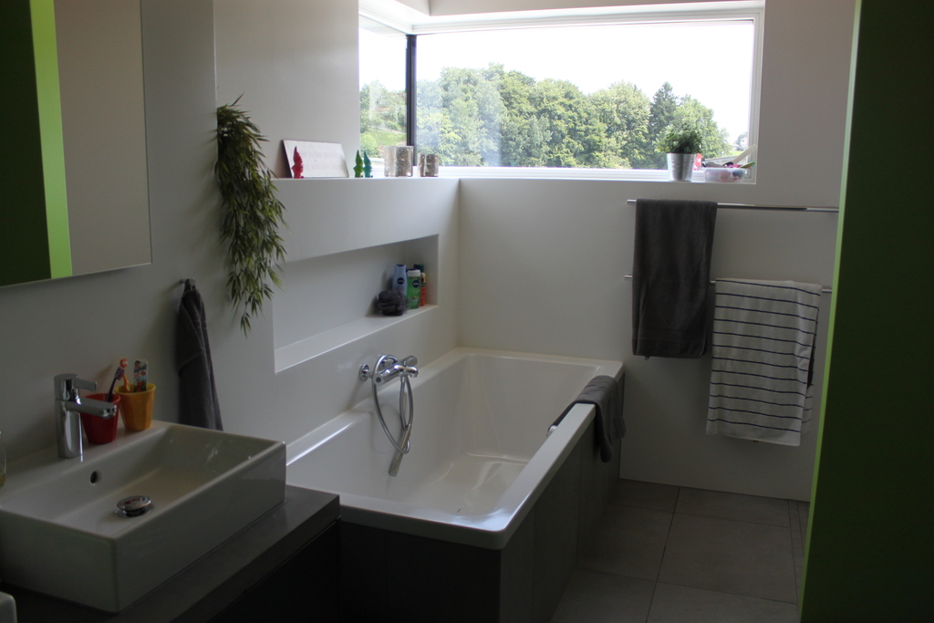 Master bathroom with toilet, shower and bathtub