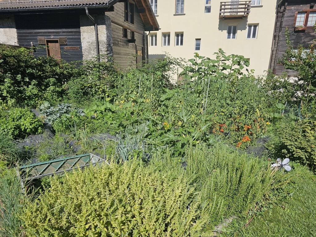 Garten