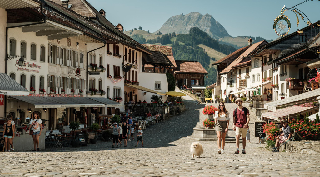 Gruyere 50min by car