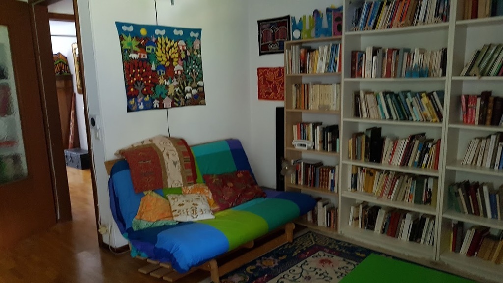 Library and beamer room with couch bed