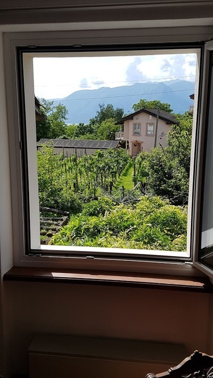 View from the parents'room