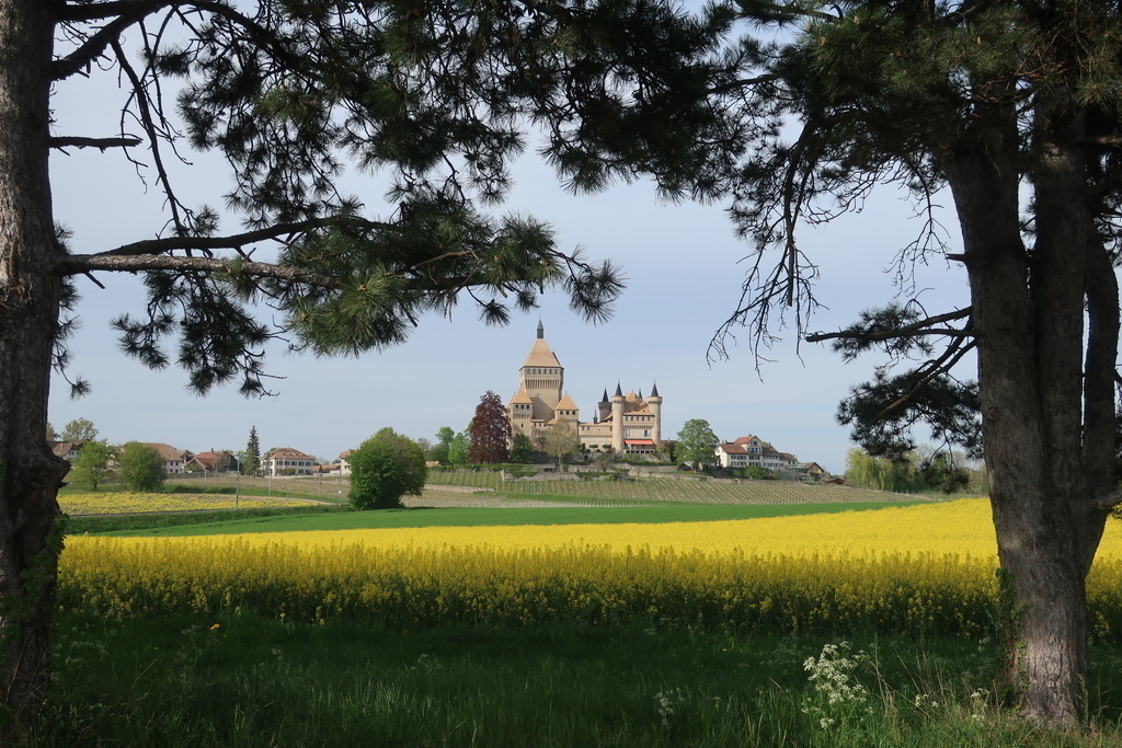 Vufflens-le-Château, a village a few minutes walk from home