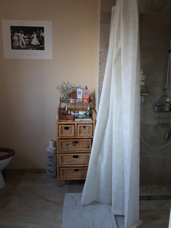 Master bedroom walk in shower