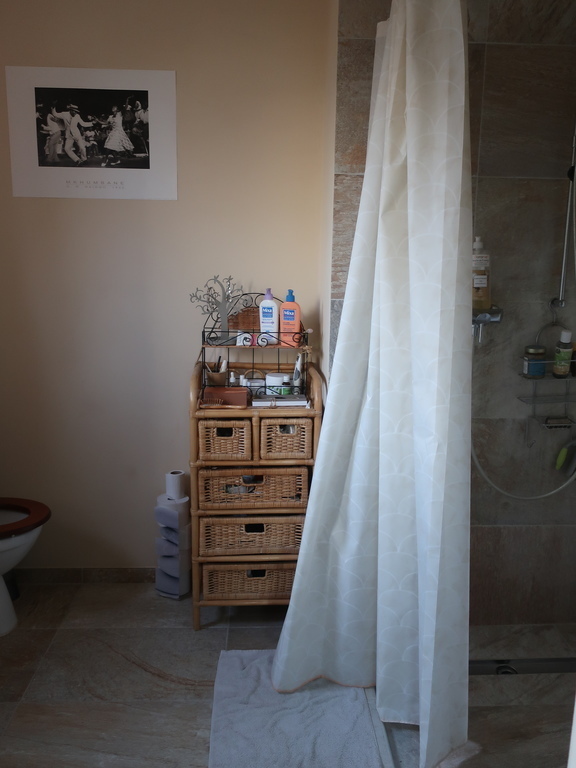 Master bedroom walk in shower