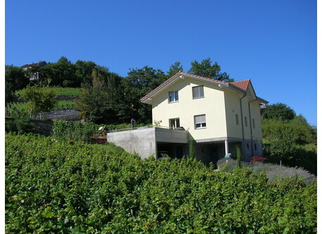 Lovely house in the middle or the mountains.We are Intervac members since 1994