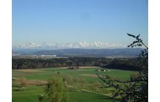 View to the Alps