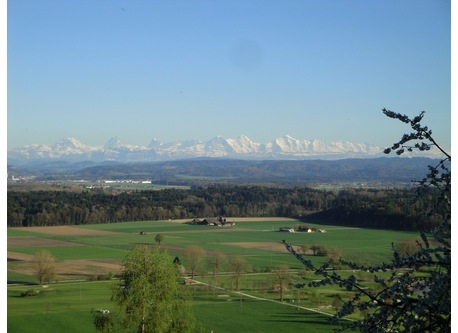 View to the Alps