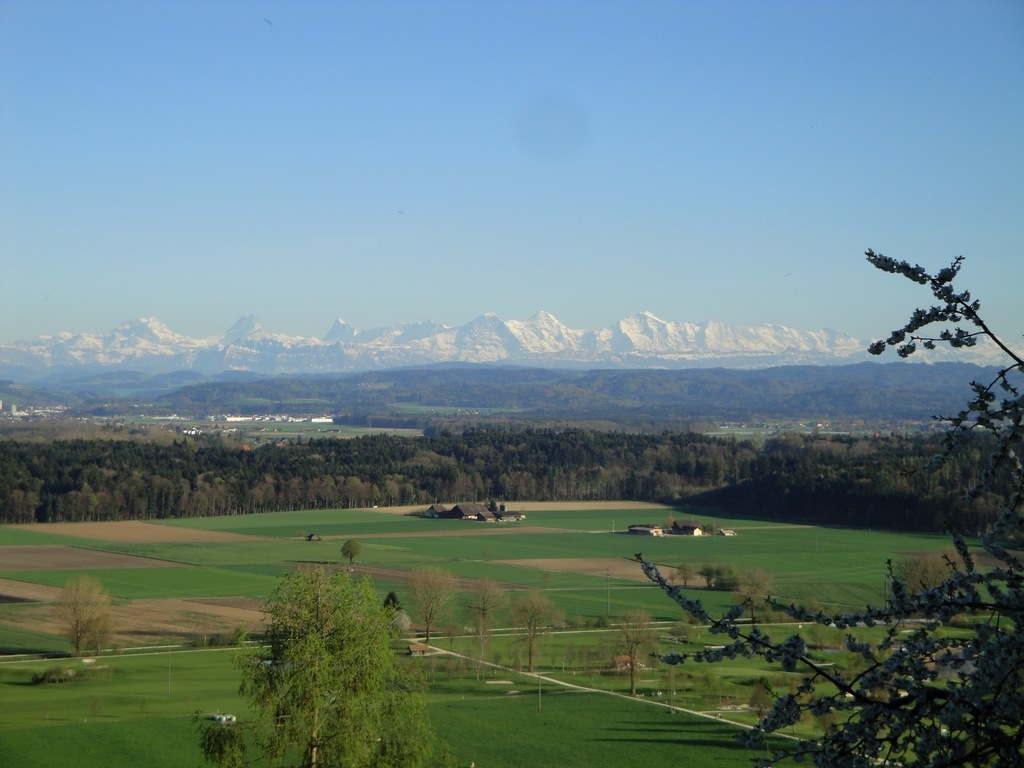 View to the Alps