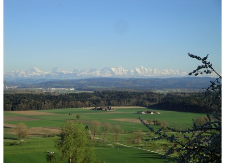 View to the Alps