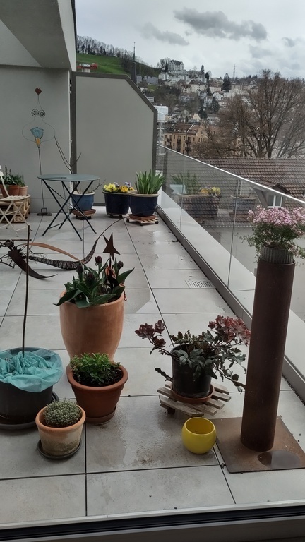 Blick auf die Terasse