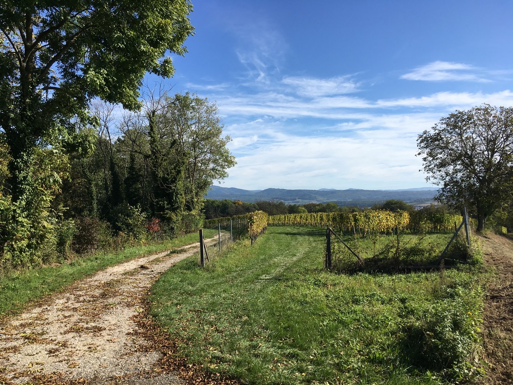 Black Forest, 10km away