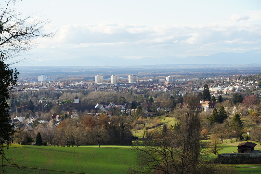 View over Riehen to the Vosges (Alsace)