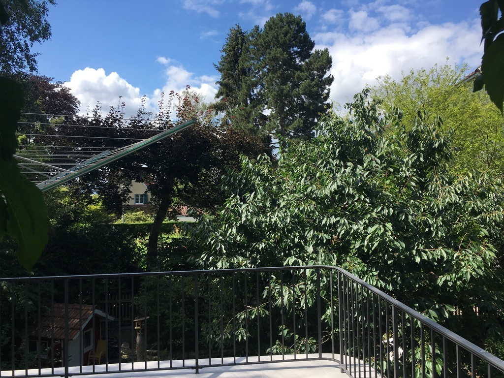 view from the terrace