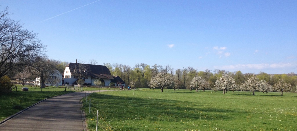 Riehen: Lange Erlen 5 min from us