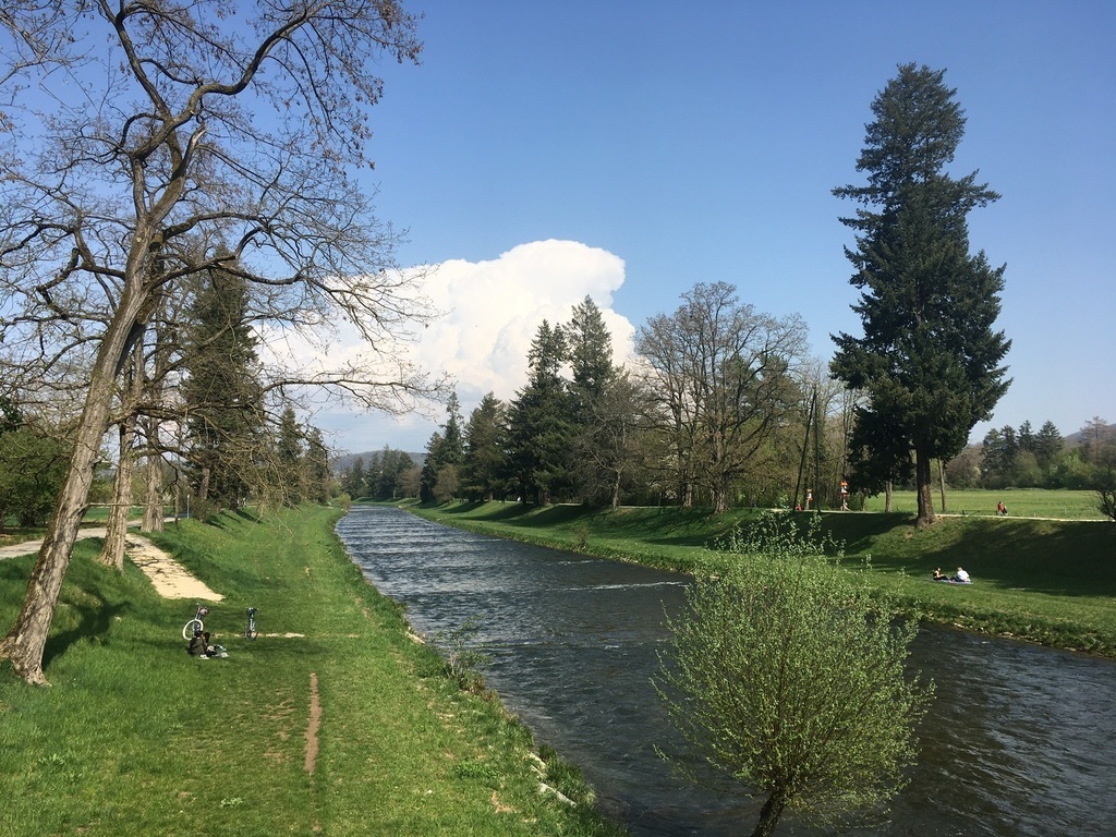 Along the river Wiese in the Lange Erlen