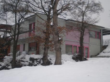 The home in winter