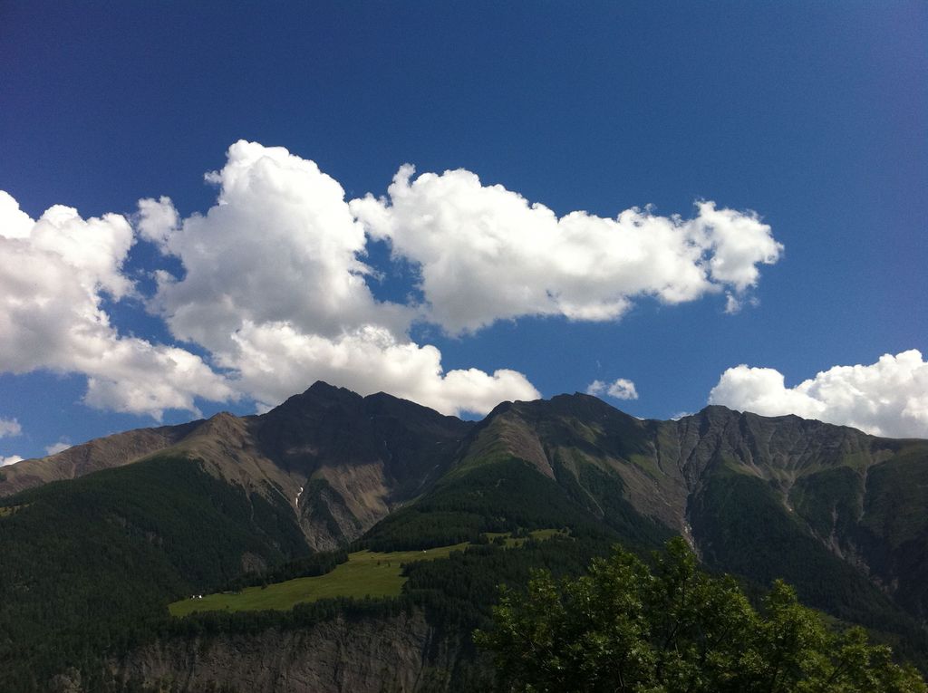 View from the apartment in summer