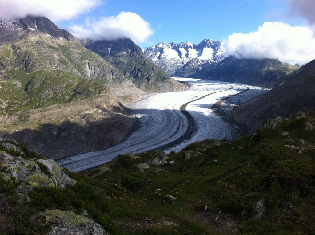 Glacier Aletsch in summer