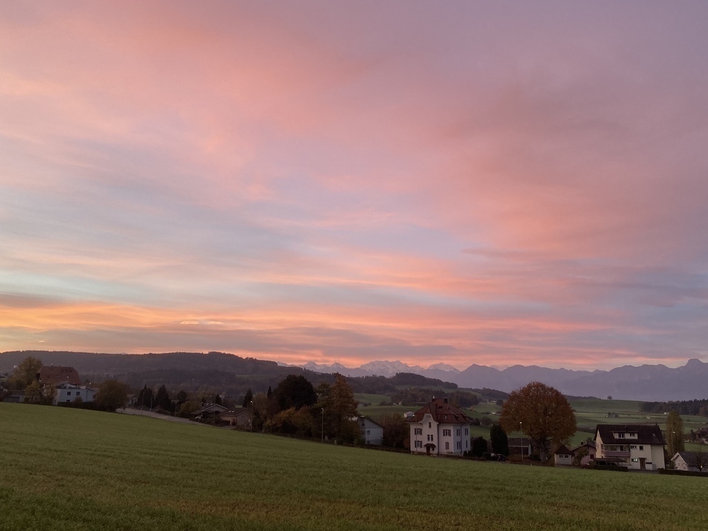 Morning atmosphere in front of the house