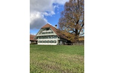 Flat in the groundfloor