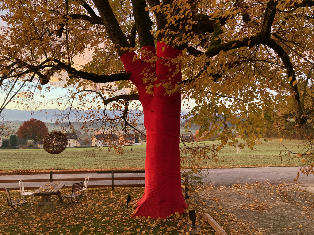 „ Veiling makes visible“ - Art Project 2021 by Martin in our garden. 