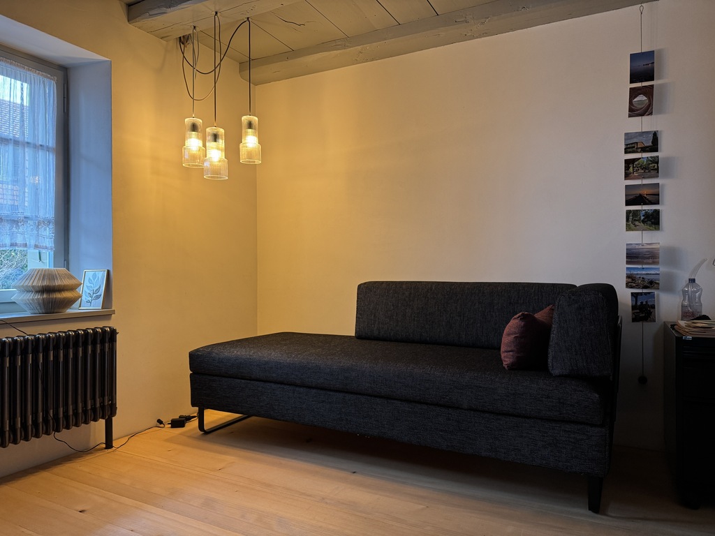 Guest room with comfortable sofa bed (160 x 200)