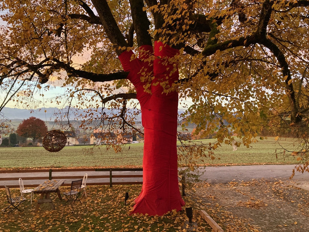 „ Veiling makes visible“ - Art Project 2021 by Martin in our garden. 