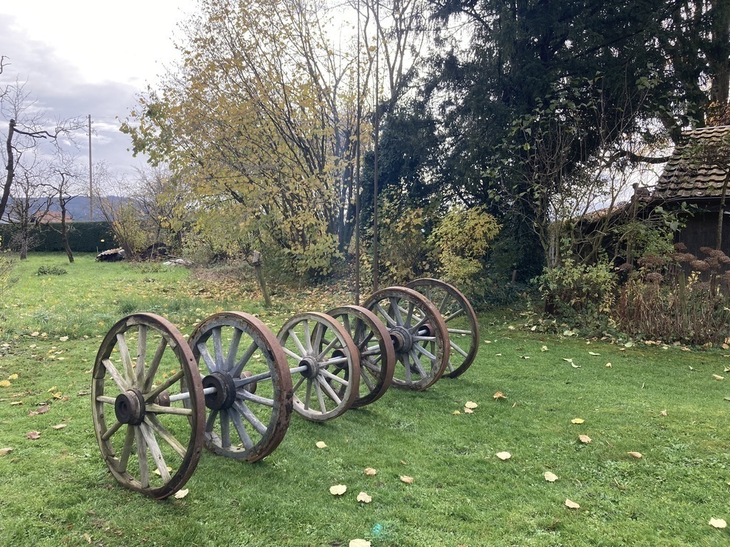 Garden behind the house