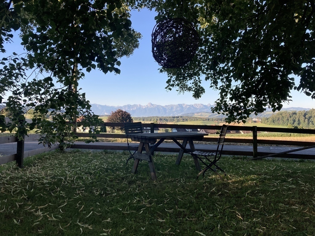 Sitting place under the 250 year old lime tree