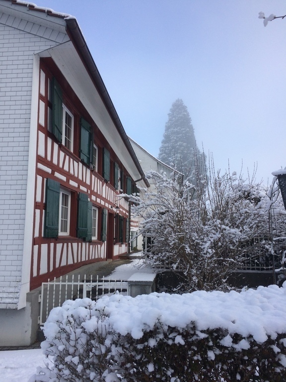 house from south side