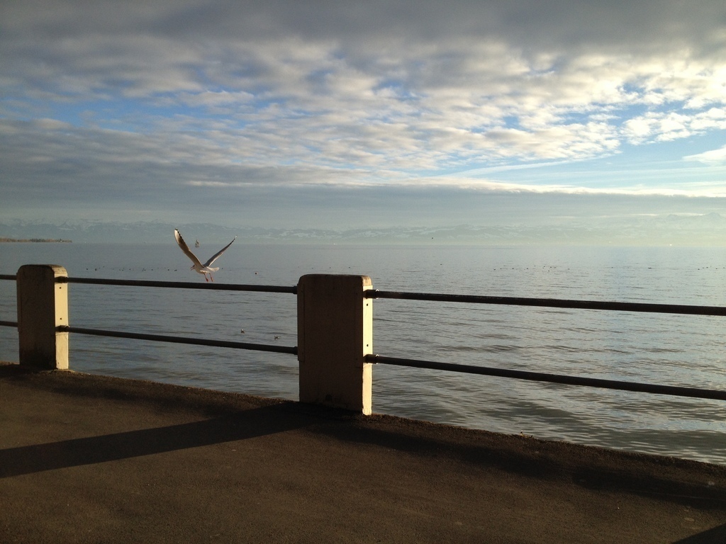 Lake Constance (25min drive) from our home