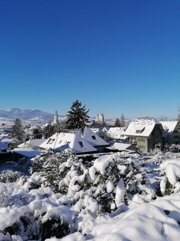 Winter in Thun