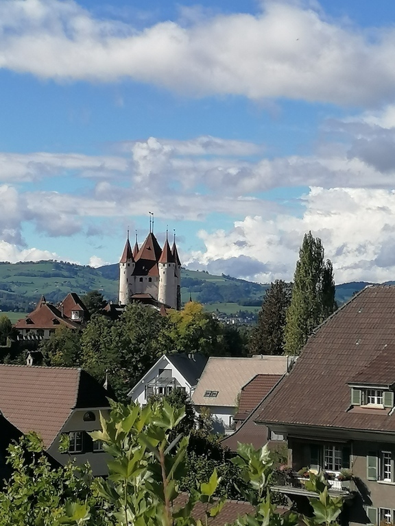 Thun castle