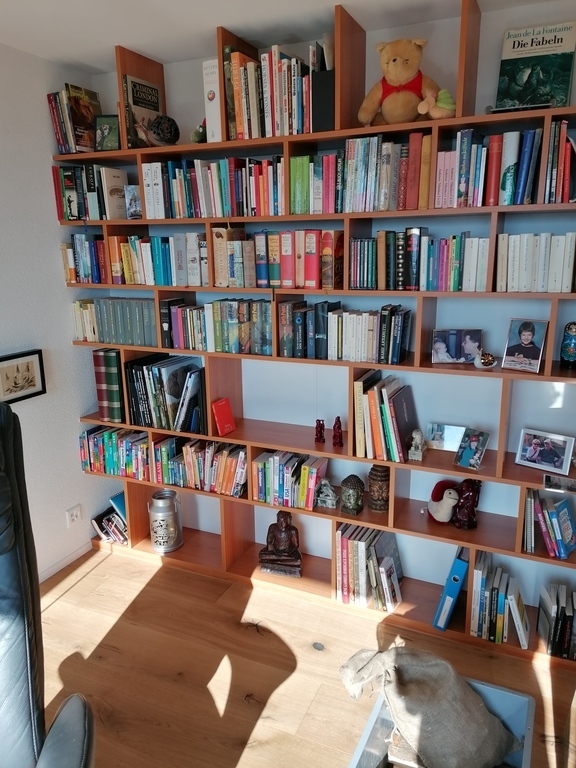 Library in reading corner