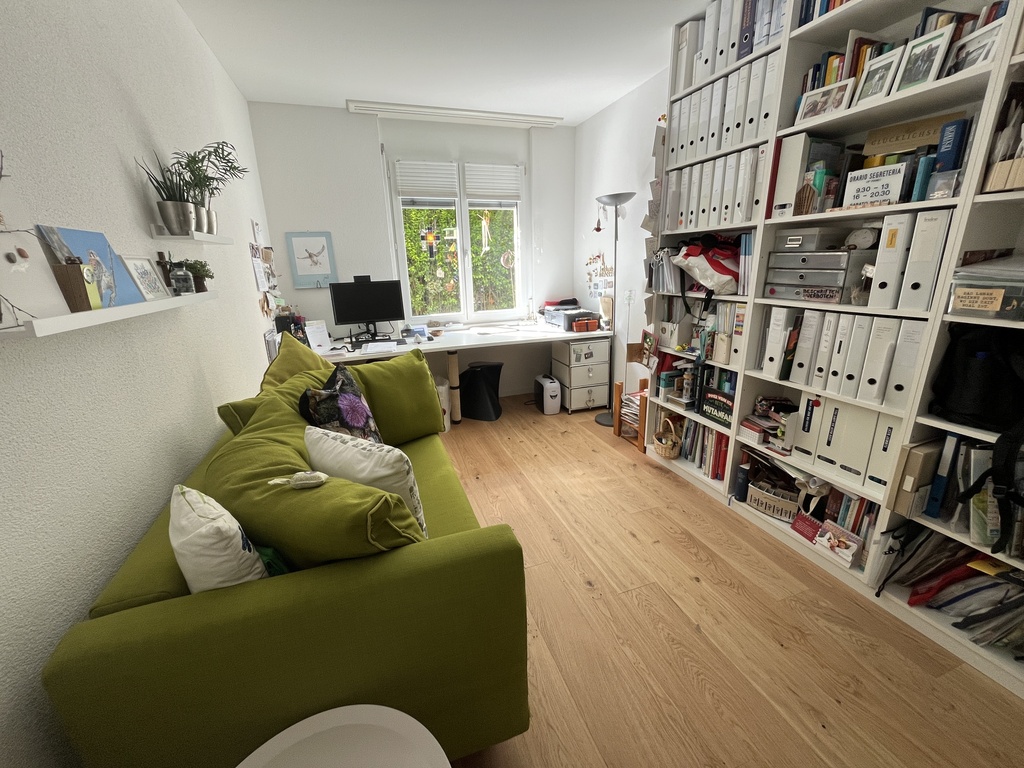 Büro mit Bett zum Ausziehen/study with a bed