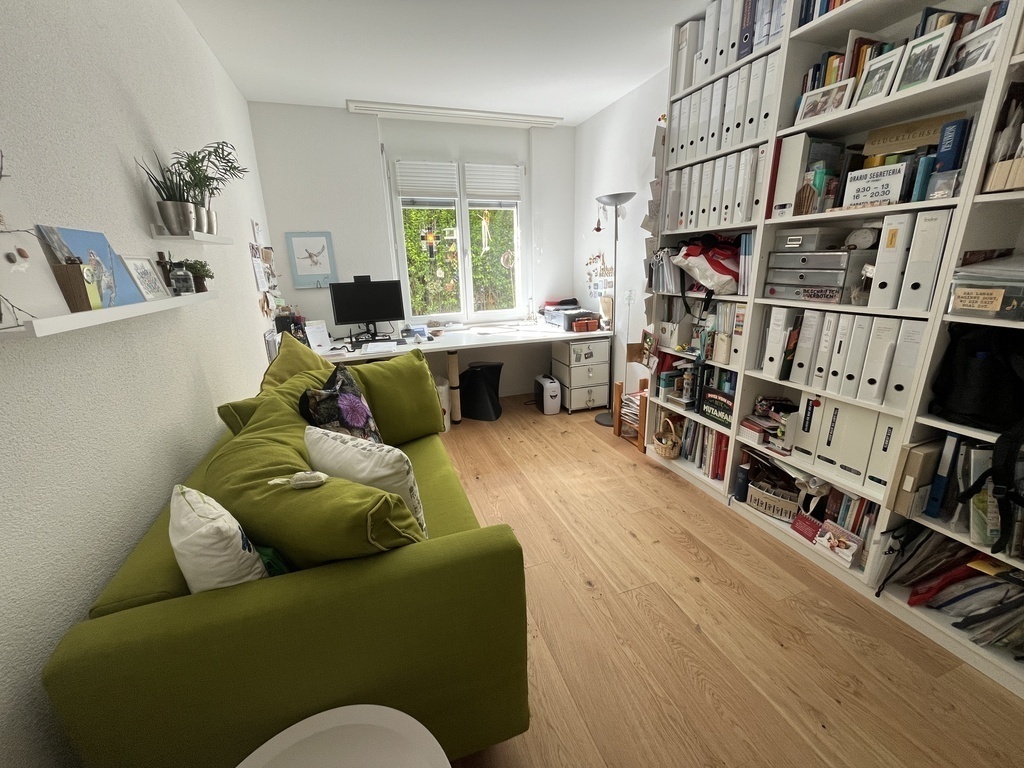 Büro mit Bett zum Ausziehen/study with a bed