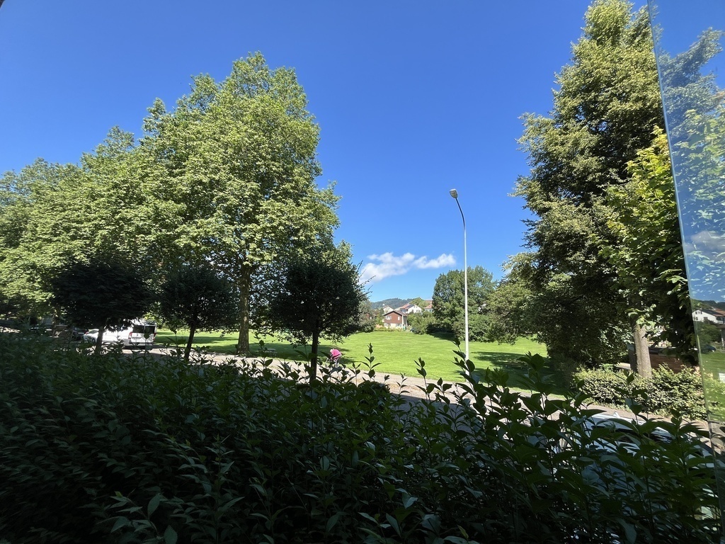 Aussicht auf Spielwiese/overlooking the parc