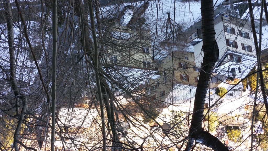 Foto  taken from the walking path behind our home