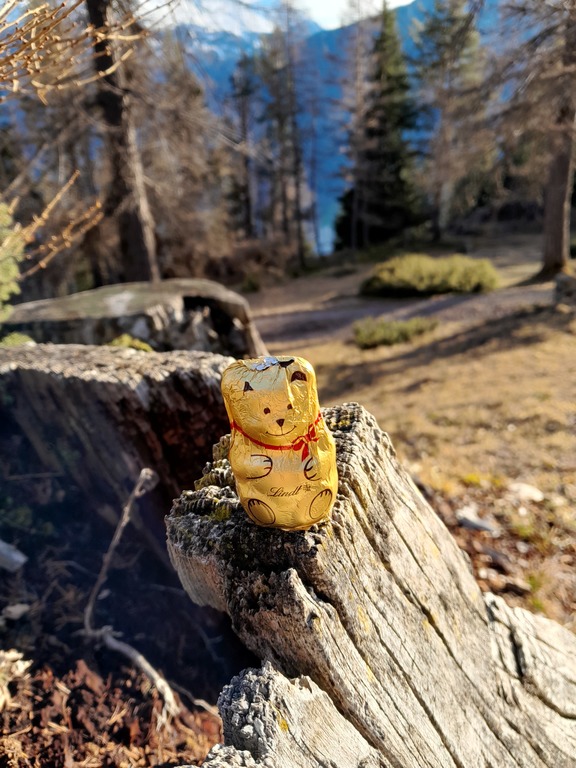 Chocolate Bear 25.Dec.2022