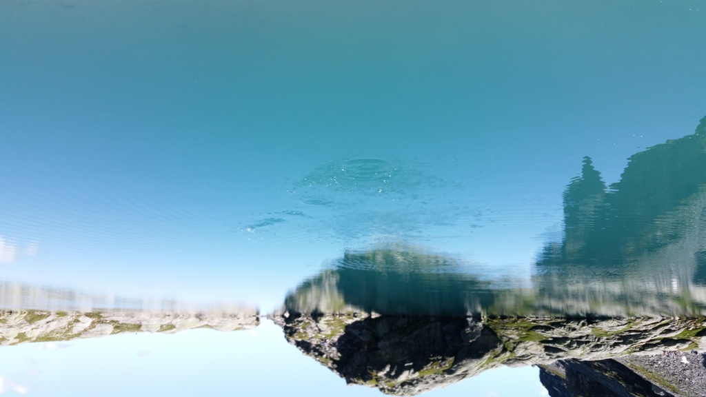 You could find  this blue wonder!